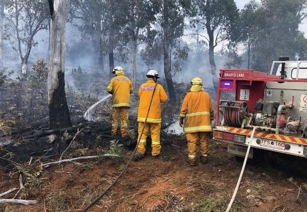 fire fighters in a burnt out forest. 